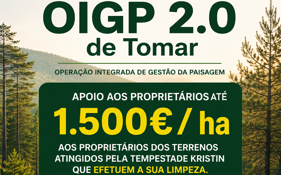 Proprietários de terrenos afetados pela tempestade Kristin podem receber até 1.500€/ha no âmbito da OIGP 2.0 de Tomar