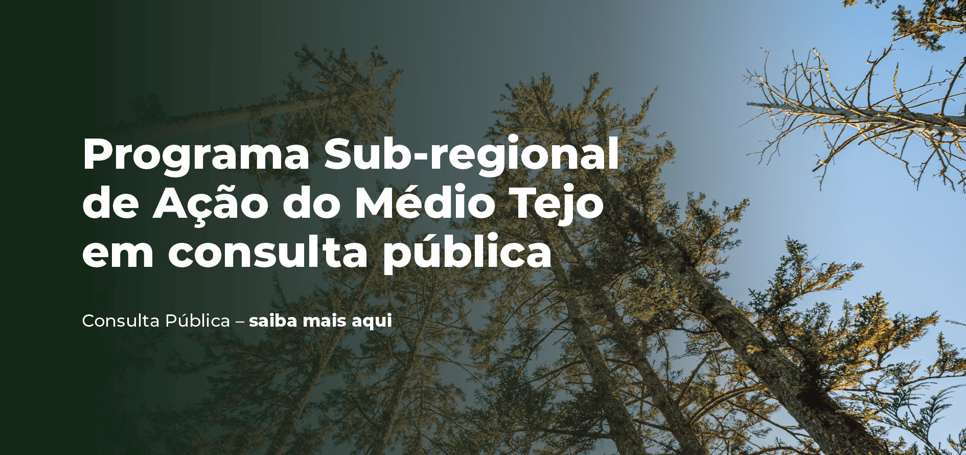 Consulta pública do PSA MT - Programa Sub-Regional de Ação de Gestão Integrada de Fogos Rurais do Médio Tejo