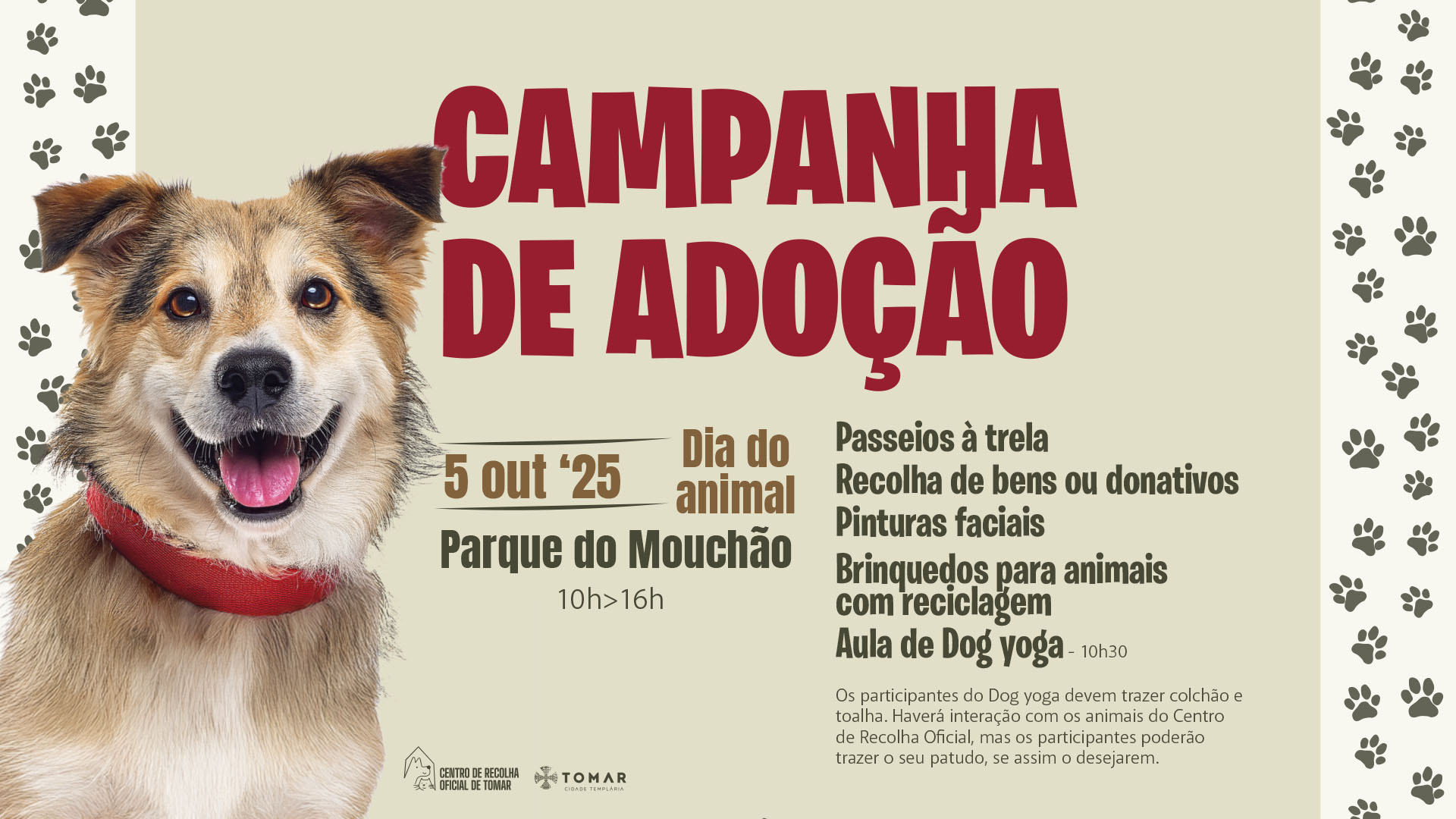 Campanha de adoção