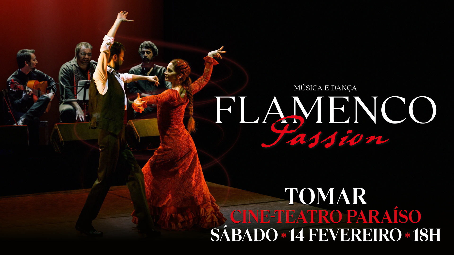 Flamenco Passion